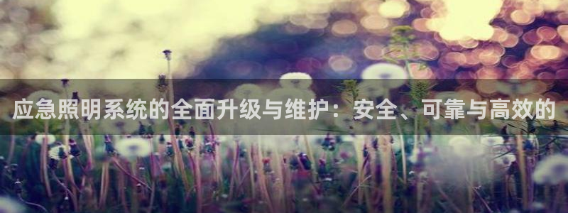 应急照明系统的全面升级与维护：安全、可靠与高效的