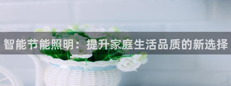 智能节能照明：提升家庭生活品质的新选择