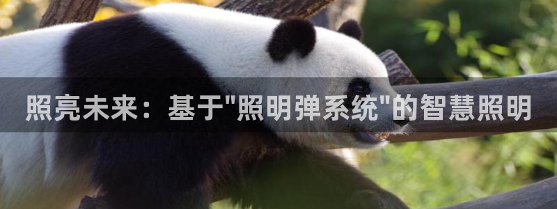 照亮未来：基于\