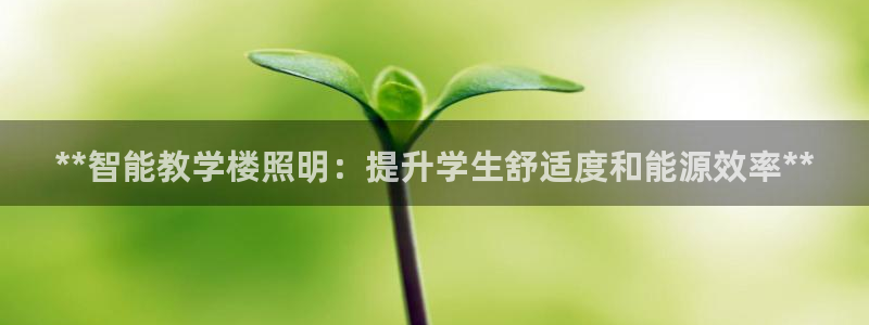 **智能教学楼照明：提升学生舒适度和能源效率**