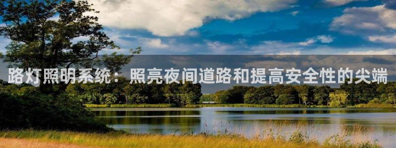 路灯照明系统：照亮夜间道路和提高安全性的尖端