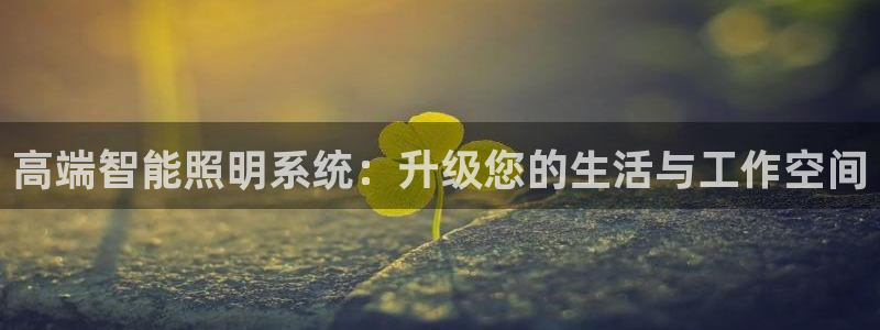 高端智能照明系统：升级您的生活与工作空间