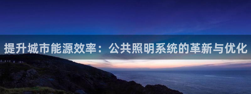 提升城市能源效率：公共照明系统的革新与优化