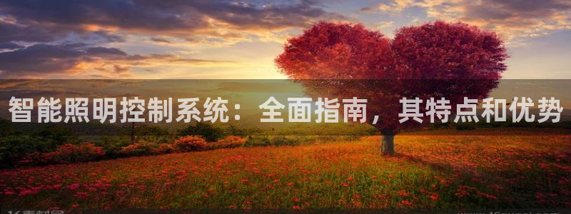 智能照明控制系统：全面指南，其特点和优势