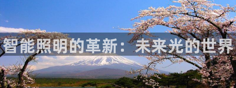 智能照明的革新：未来光的世界