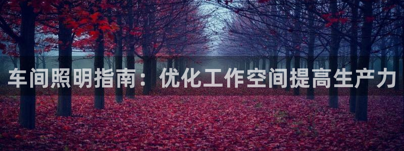 车间照明指南：优化工作空间提高生产力