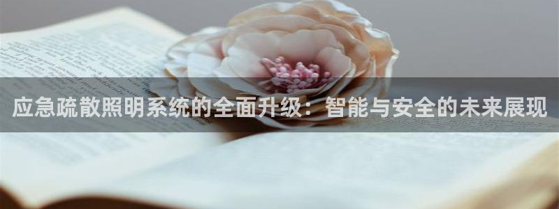 应急疏散照明系统的全面升级：智能与安全的未来展现