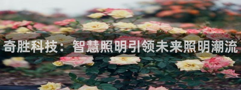 奇胜科技：智慧照明引领未来照明潮流