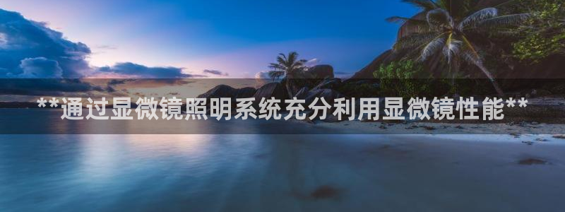 **通过显微镜照明系统充分利用显微镜性能**