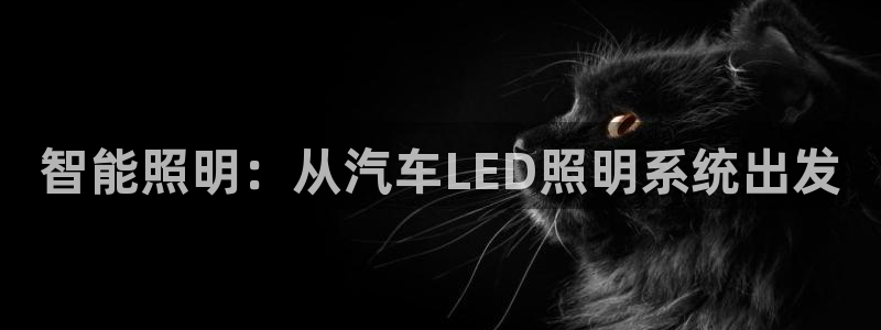 智能照明：从汽车LED照明系统出发