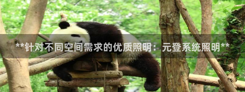 **针对不同空间需求的优质照明：元登系统照明**