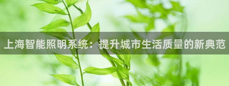 上海智能照明系统：提升城市生活质量的新典范