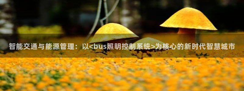 智能交通与能源管理：以<bus照明控制系统>为核心的新时代智慧城市