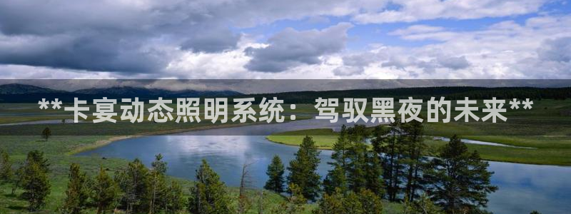 **卡宴动态照明系统：驾驭黑夜的未来**