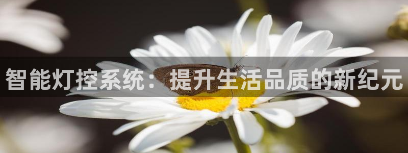 智能灯控系统：提升生活品质的新纪元