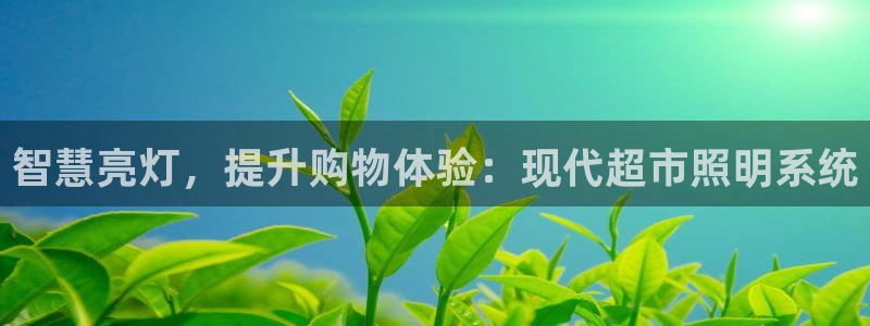 智慧亮灯，提升购物体验：现代超市照明系统