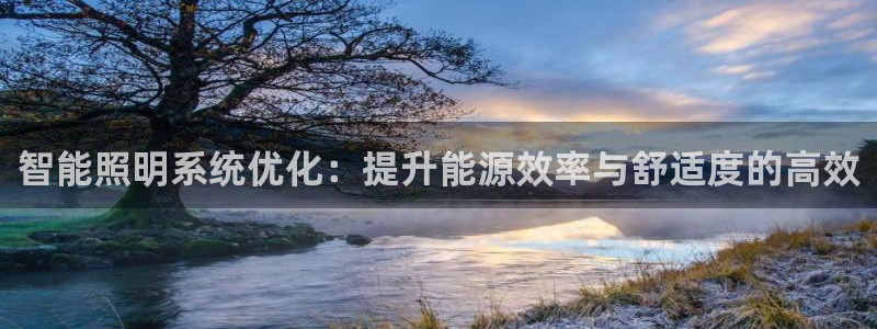 智能照明系统优化：提升能源效率与舒适度的高效
