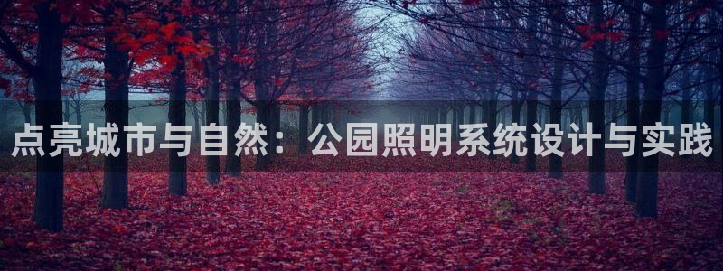 点亮城市与自然：公园照明系统设计与实践