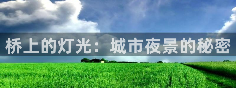 桥上的灯光：城市夜景的秘密