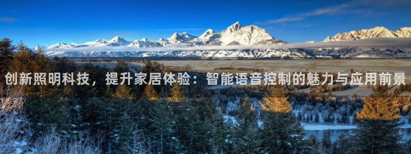 创新照明科技，提升家居体验：智能语音控制的魅力与应用前景