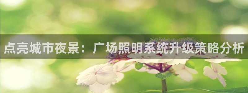 点亮城市夜景：广场照明系统升级策略分析