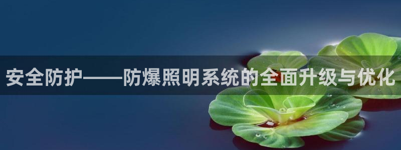 安全防护——防爆照明系统的全面升级与优化