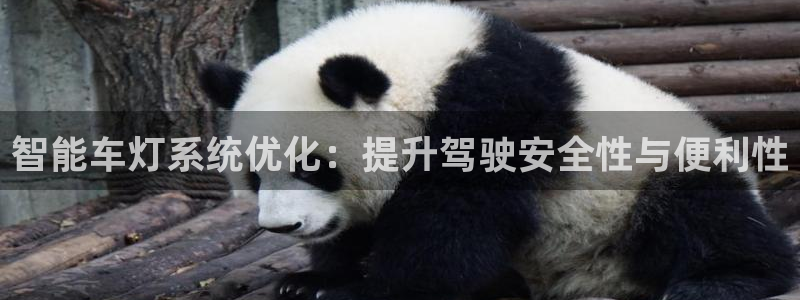 智能车灯系统优化：提升驾驶安全性与便利性