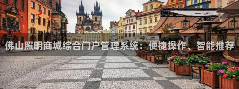 佛山照明商城综合门户管理系统：便捷操作、智能推荐