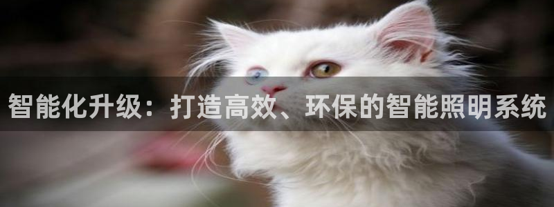 智能化升级：打造高效、环保的智能照明系统