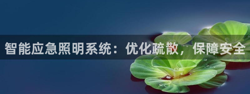 智能应急照明系统：优化疏散，保障安全