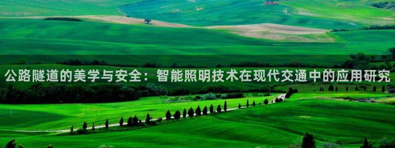 公路隧道的美学与安全:智能照明技术在现代