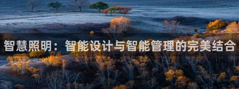 智慧照明：智能设计与智能管理的完美结合