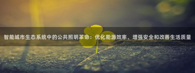 智能城市生态系统中的公共照明革命：优化能