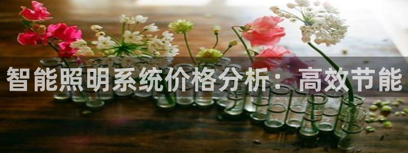 智能照明系统价格分析：高效节能